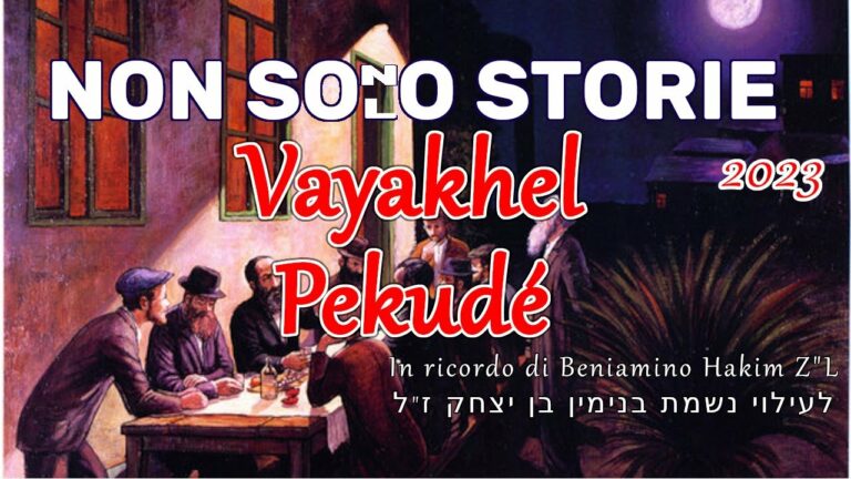 Non Sono Solo Storie – 2023 – Vayakhel-Pekudé