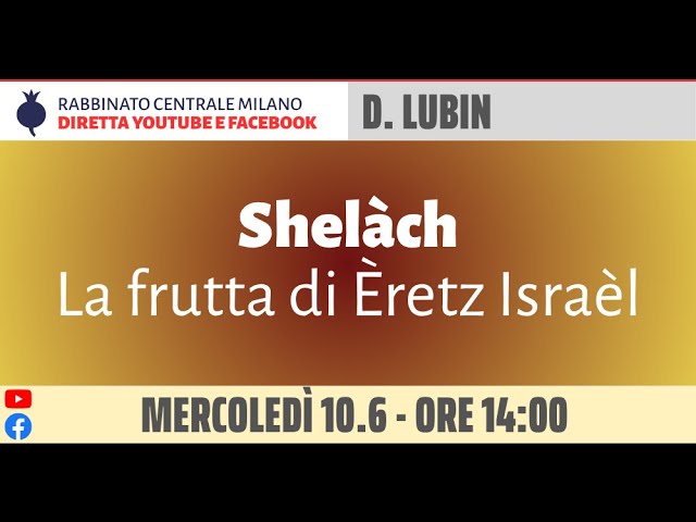 D. Lubin – Parashà di Shelàch – La frutta di Èretz Israèl